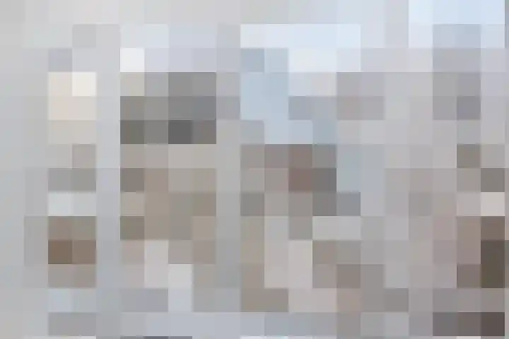 Lavendelstrook 9 Swifterbant thumbnail 9