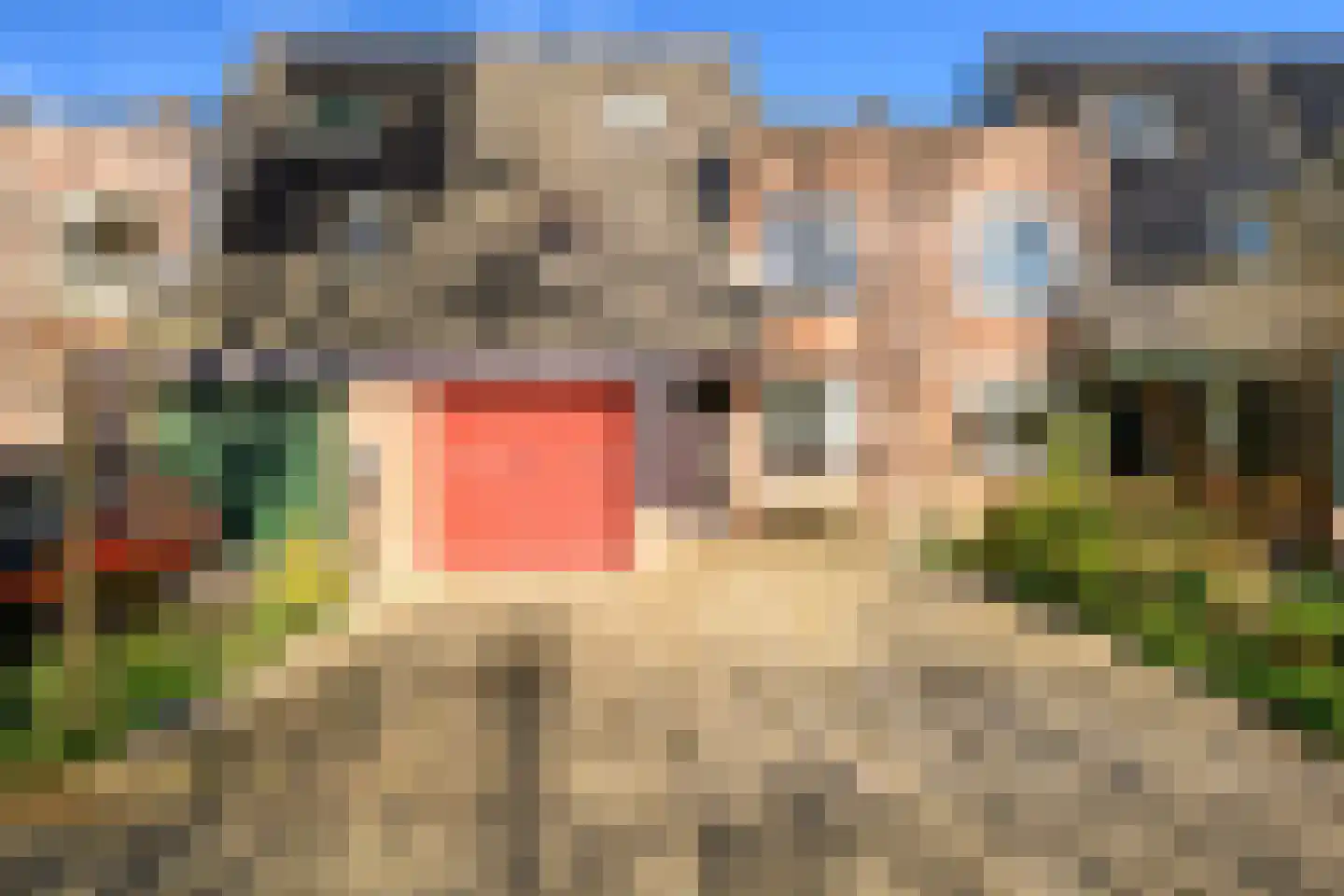 Lavendeltuin 19 Zoetermeer