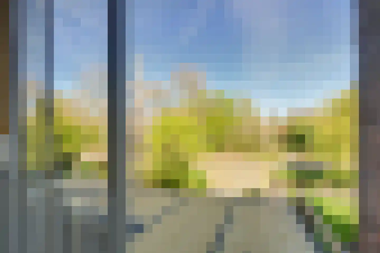 Lavendeltuin 19 Zoetermeer thumbnail 15