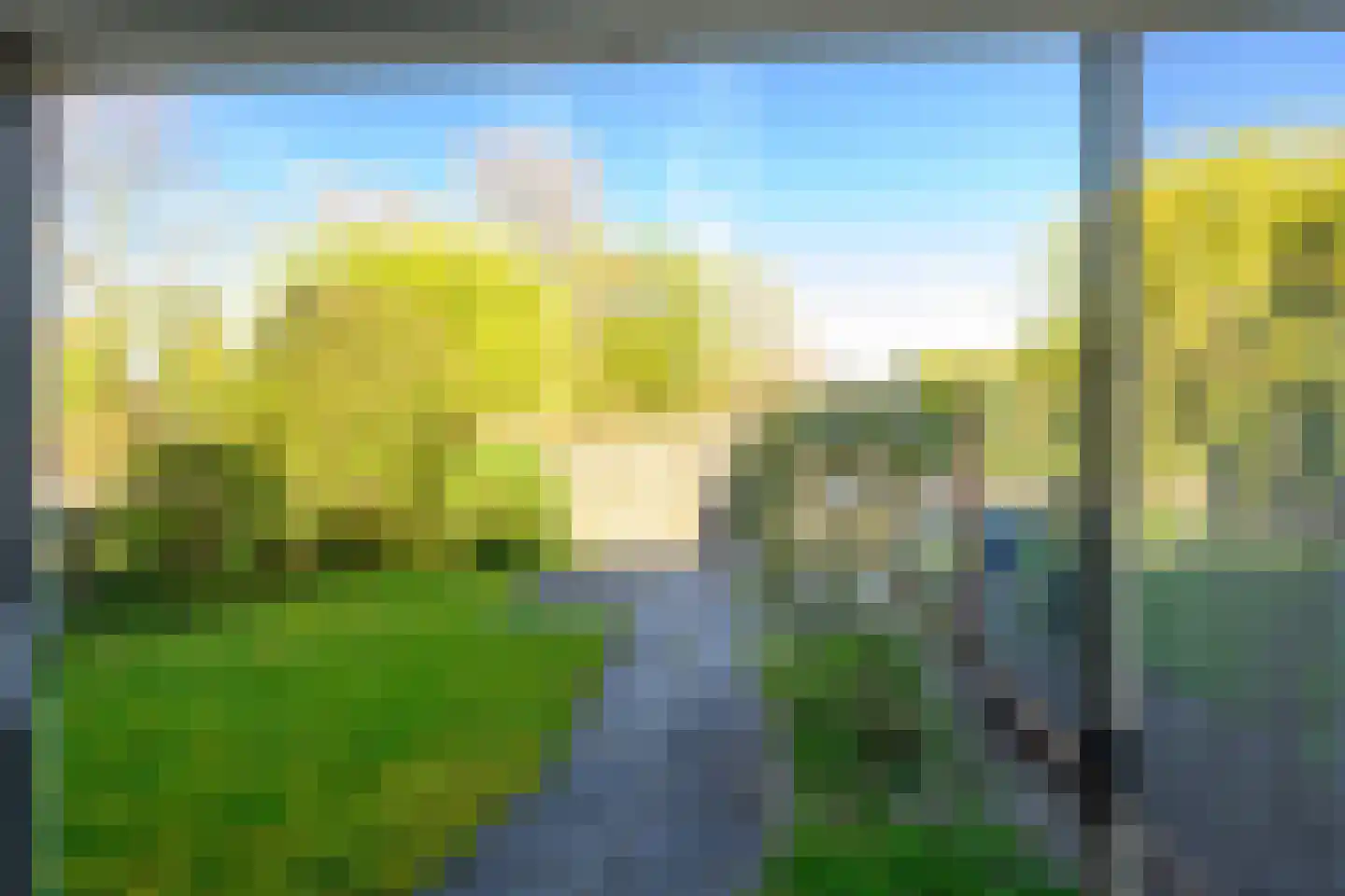 Lavendeltuin 19 Zoetermeer thumbnail 25