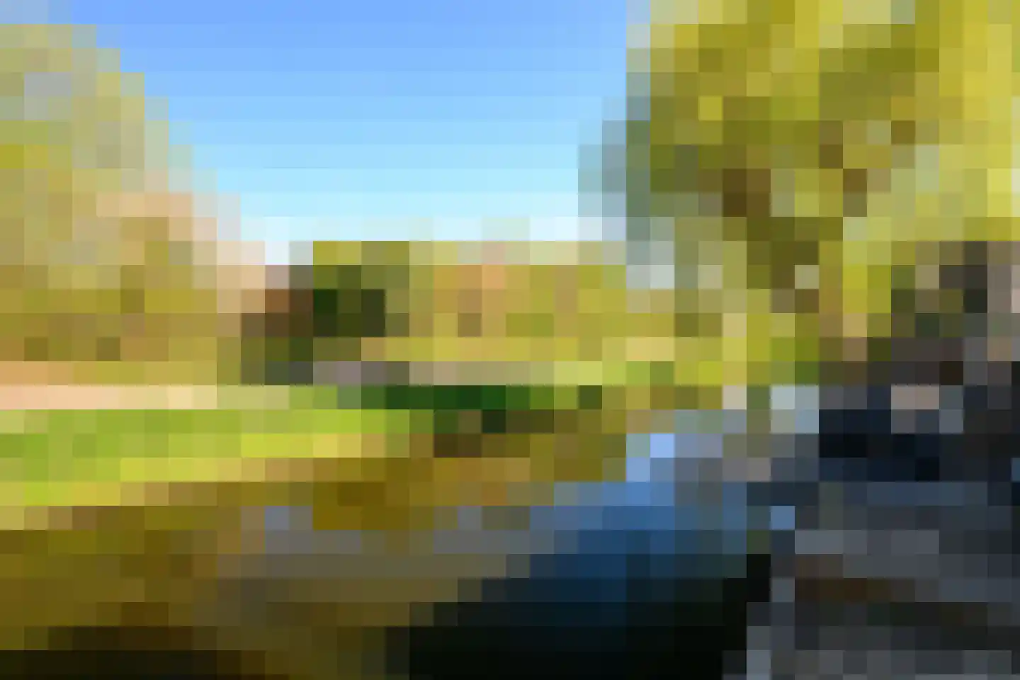 Lavendeltuin 19 Zoetermeer thumbnail 26