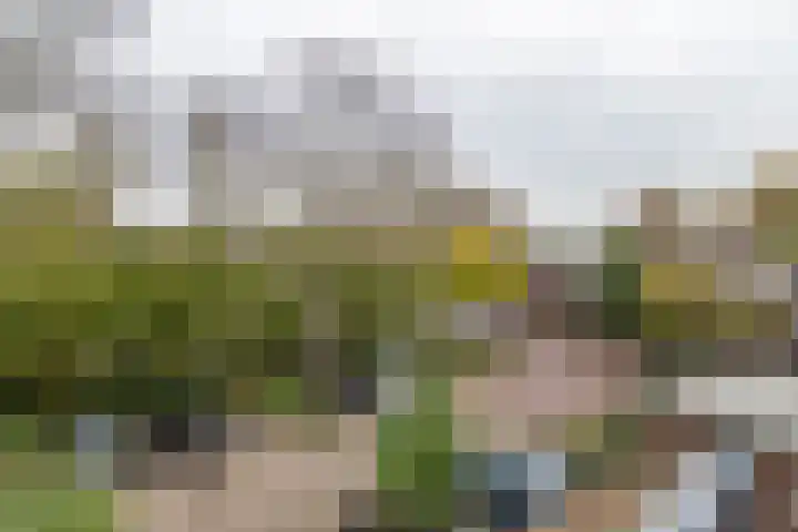 Lavendeltuin 22 Zoetermeer thumbnail 39
