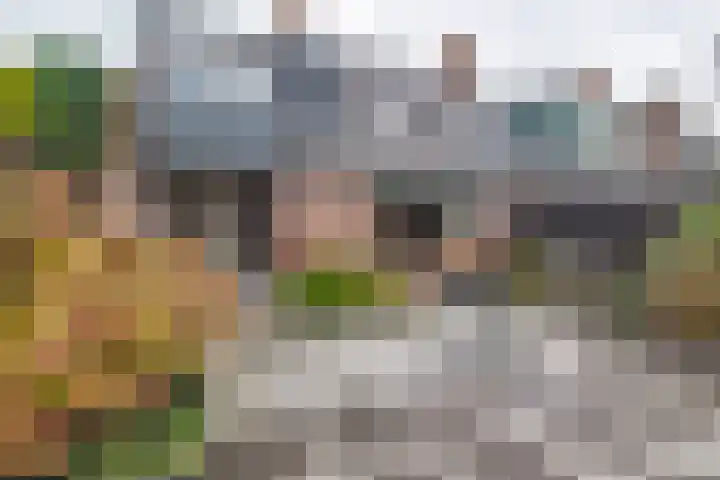 Lavendeltuin 22 Zoetermeer thumbnail 40