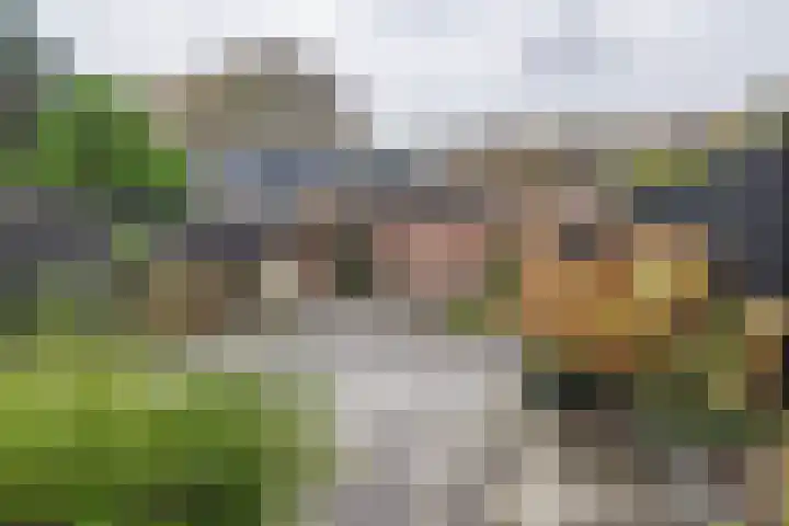 Lavendeltuin 22 Zoetermeer thumbnail 41