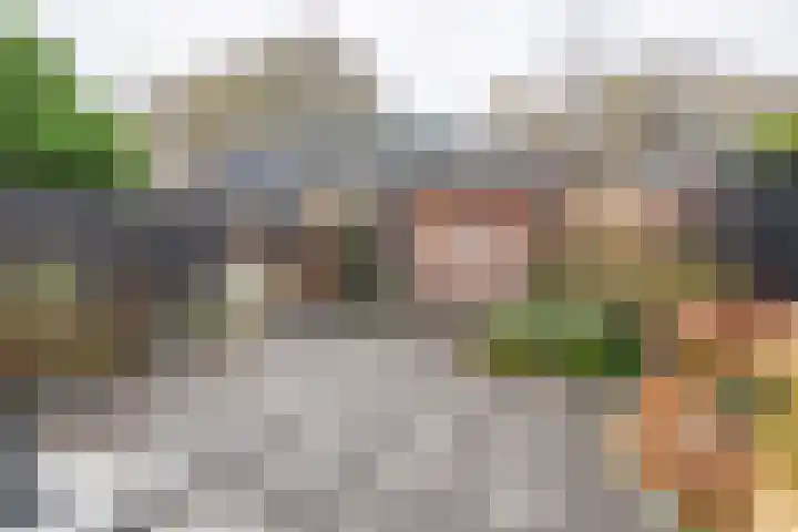 Lavendeltuin 22 Zoetermeer thumbnail 42