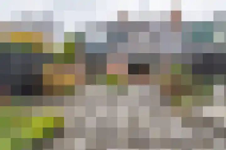 Lavendeltuin 22 Zoetermeer thumbnail 43