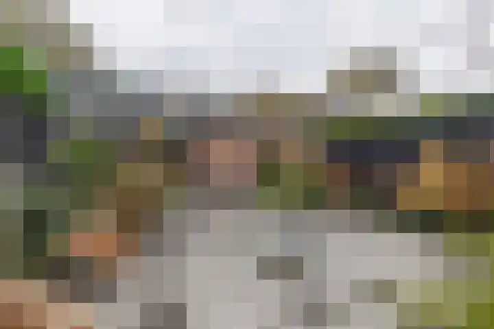 Lavendeltuin 22 Zoetermeer thumbnail 44