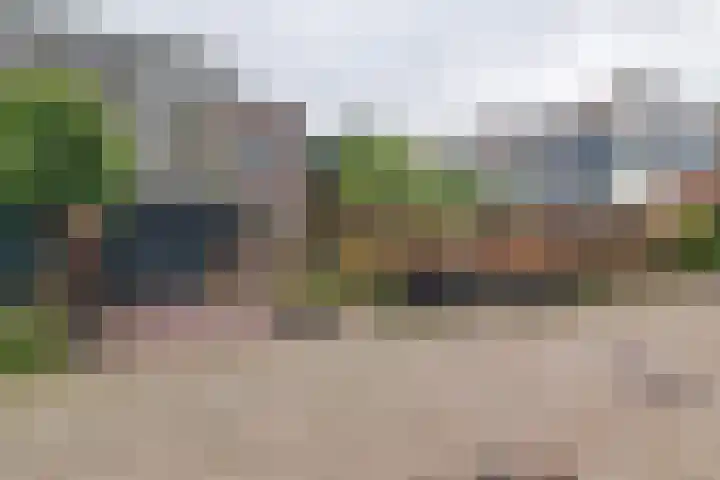 Lavendeltuin 22 Zoetermeer thumbnail 45