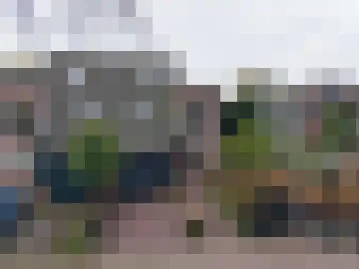 Lavendeltuin 22 Zoetermeer thumbnail 48