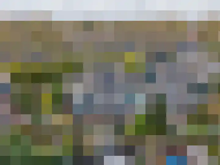 Lavendeltuin 22 Zoetermeer thumbnail 49