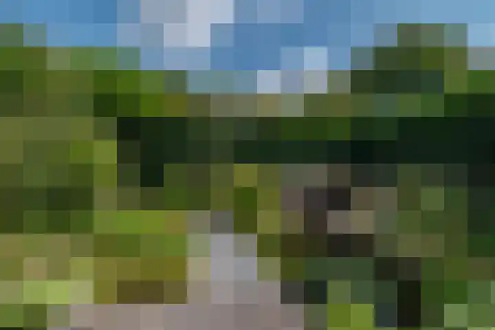 Lavendeltuin 30 Zoetermeer thumbnail 22