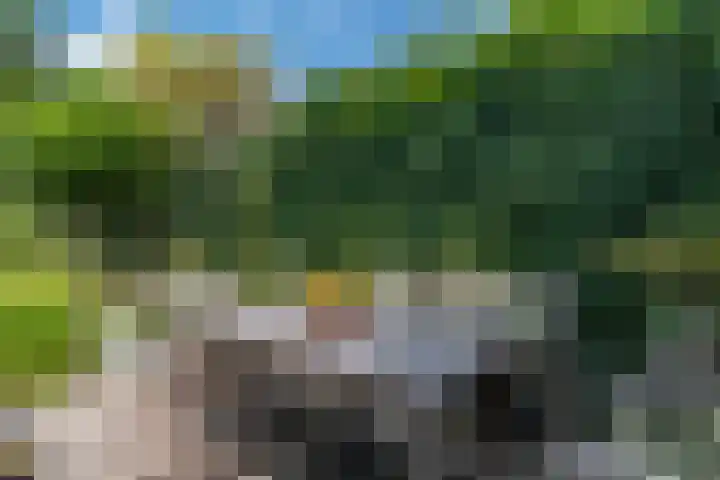 Lavendeltuin 30 Zoetermeer thumbnail 24