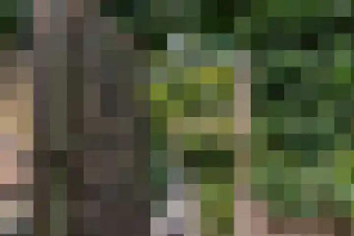 Lavendeltuin 30 Zoetermeer thumbnail 33
