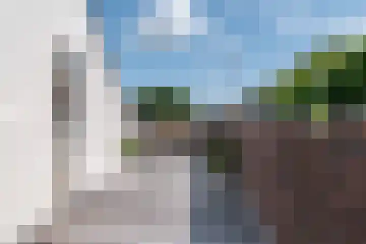 Lavendeltuin 30 Zoetermeer thumbnail 54