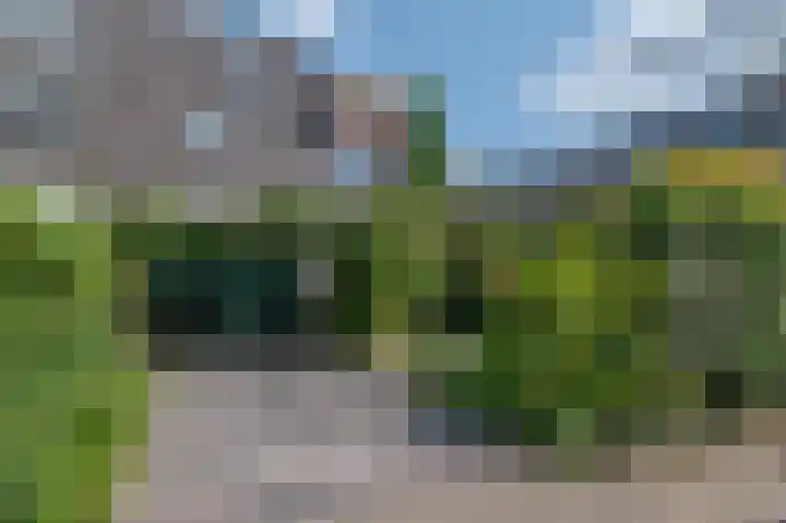 Lavendeltuin 30 Zoetermeer thumbnail 58