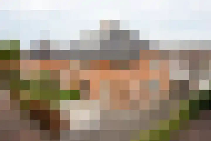 Lavendeltuin 6 in Bergschenhoek