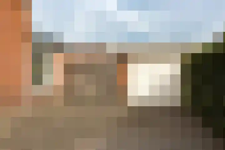 Lavendeltuin 6 Bergschenhoek thumbnail 33