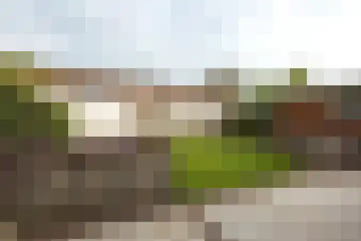 Lavendeltuin 6 Bergschenhoek thumbnail 35