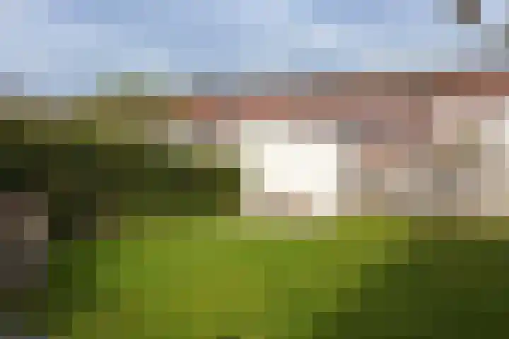Lavendeltuin 6 Bergschenhoek thumbnail 36