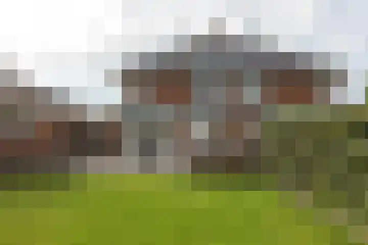 Lavendeltuin 6 Bergschenhoek thumbnail 38