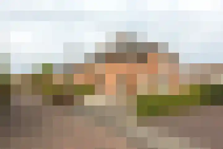 Lavendeltuin 6 Bergschenhoek thumbnail 4