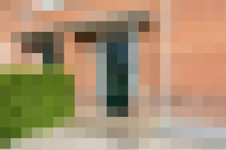 Lavendeltuin 6 Bergschenhoek thumbnail 5