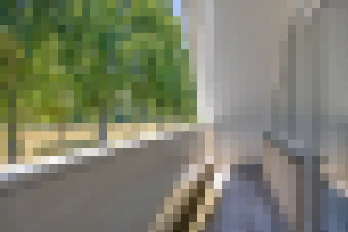 Lavendeltuin 9 Dongen thumbnail 28