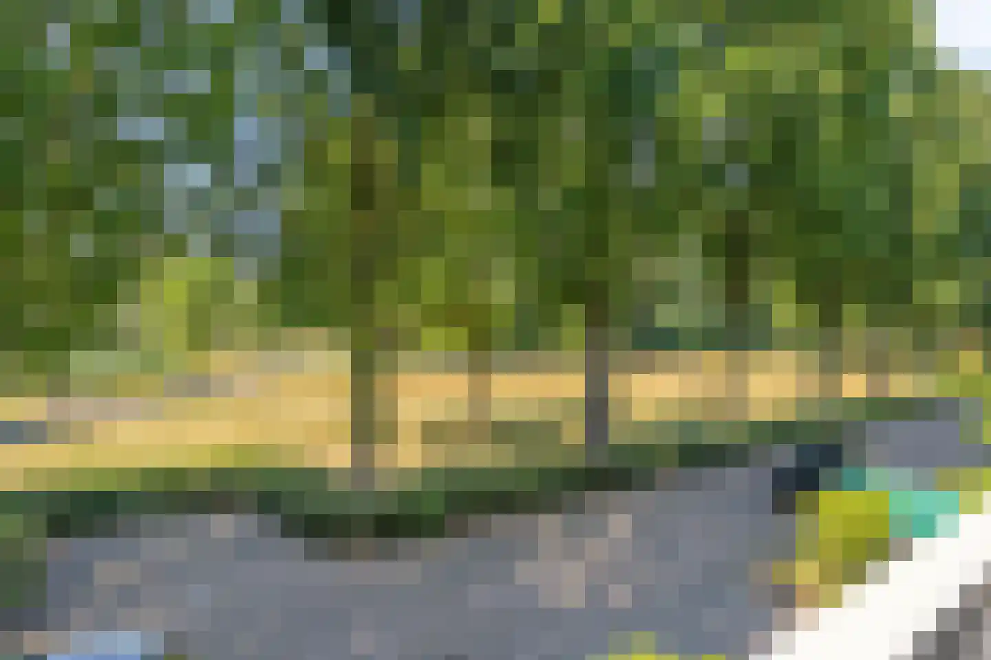 Lavendeltuin 9 Dongen thumbnail 29