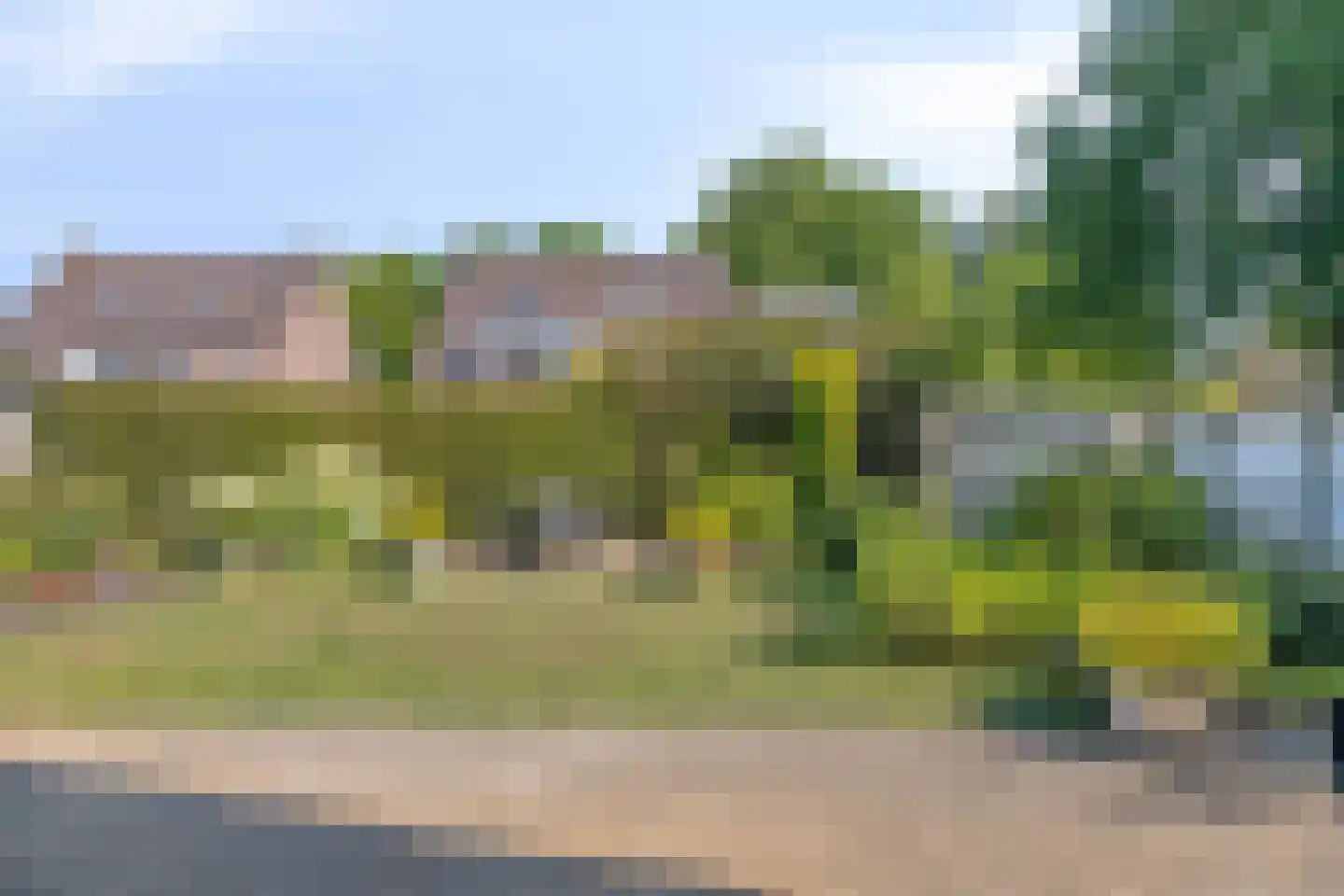 Lavendeltuin 9 Dongen thumbnail 33