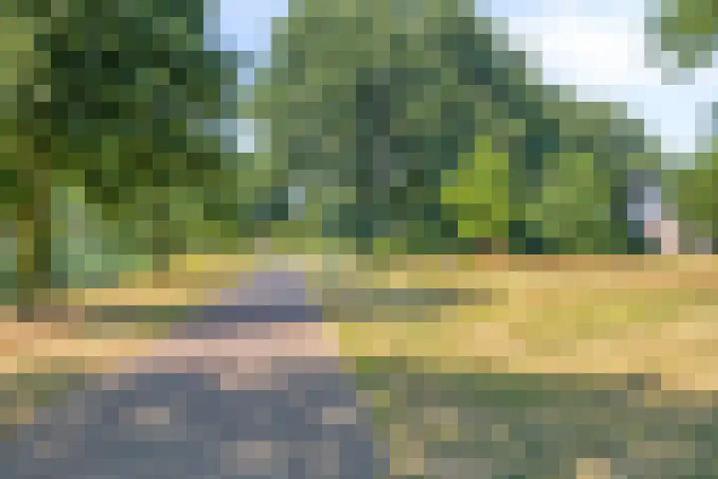 Lavendeltuin 9 Dongen thumbnail 39