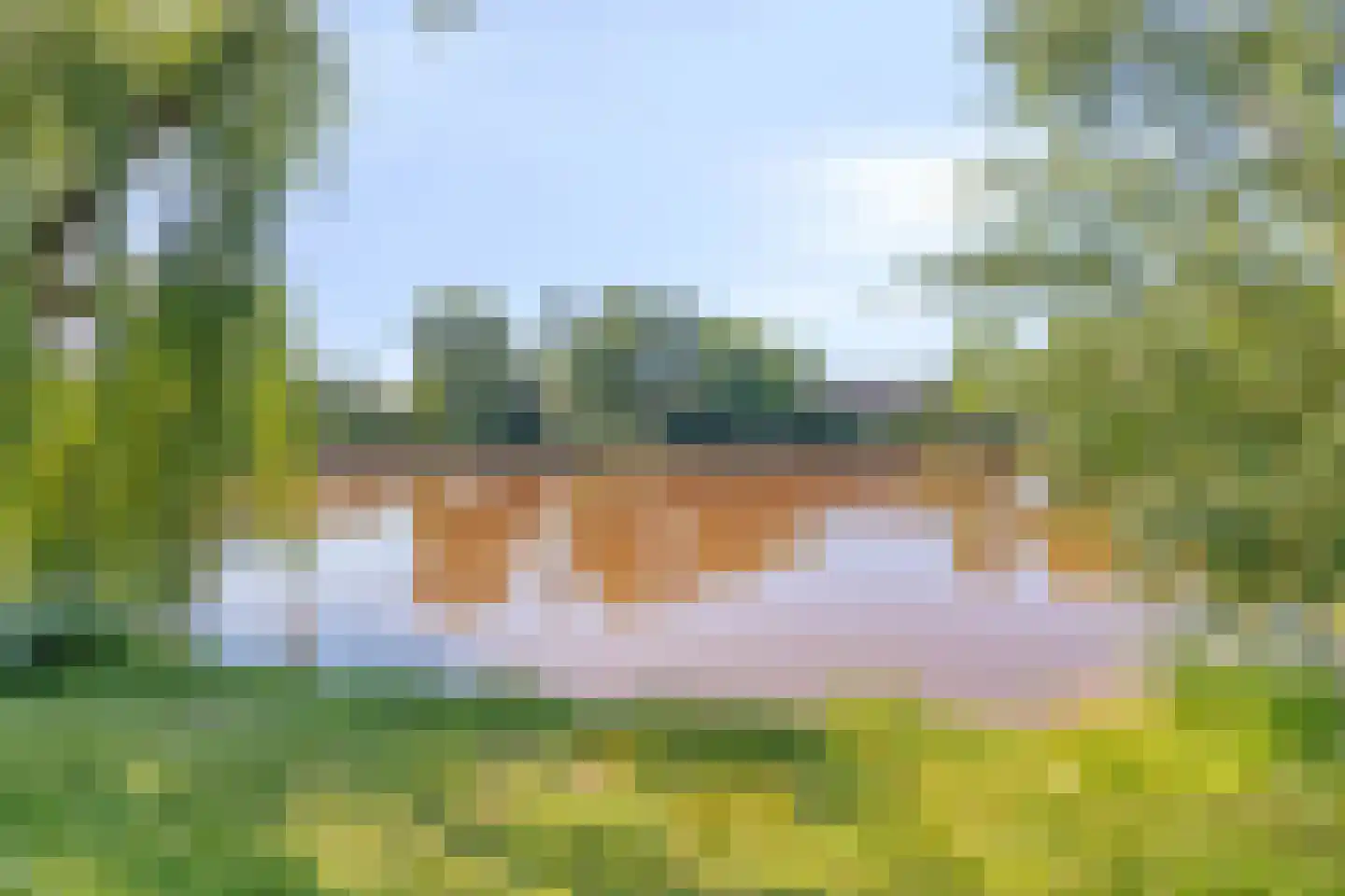 Lavendeltuin 9 Dongen thumbnail 40