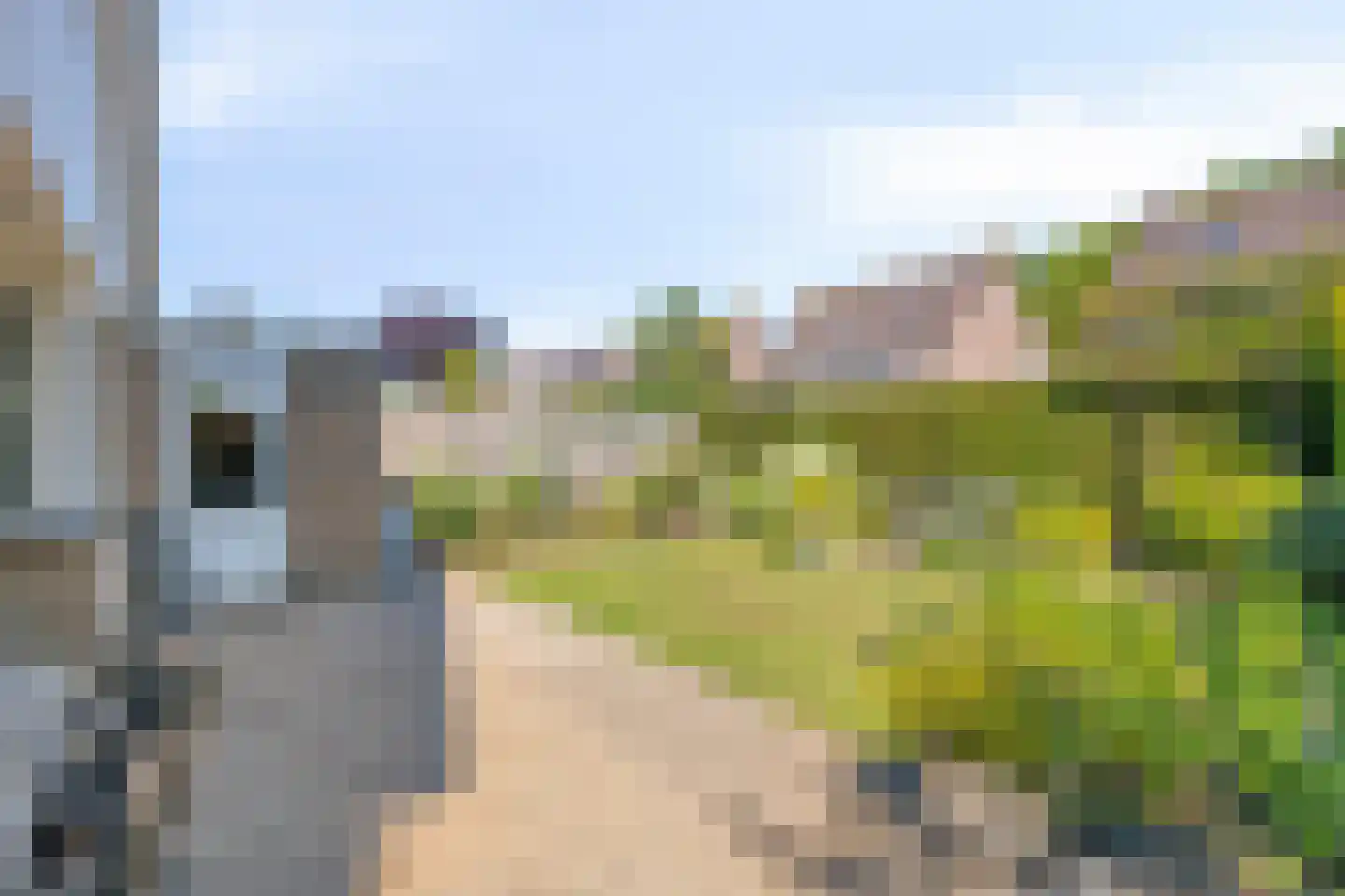 Lavendeltuin 9 Dongen thumbnail 6