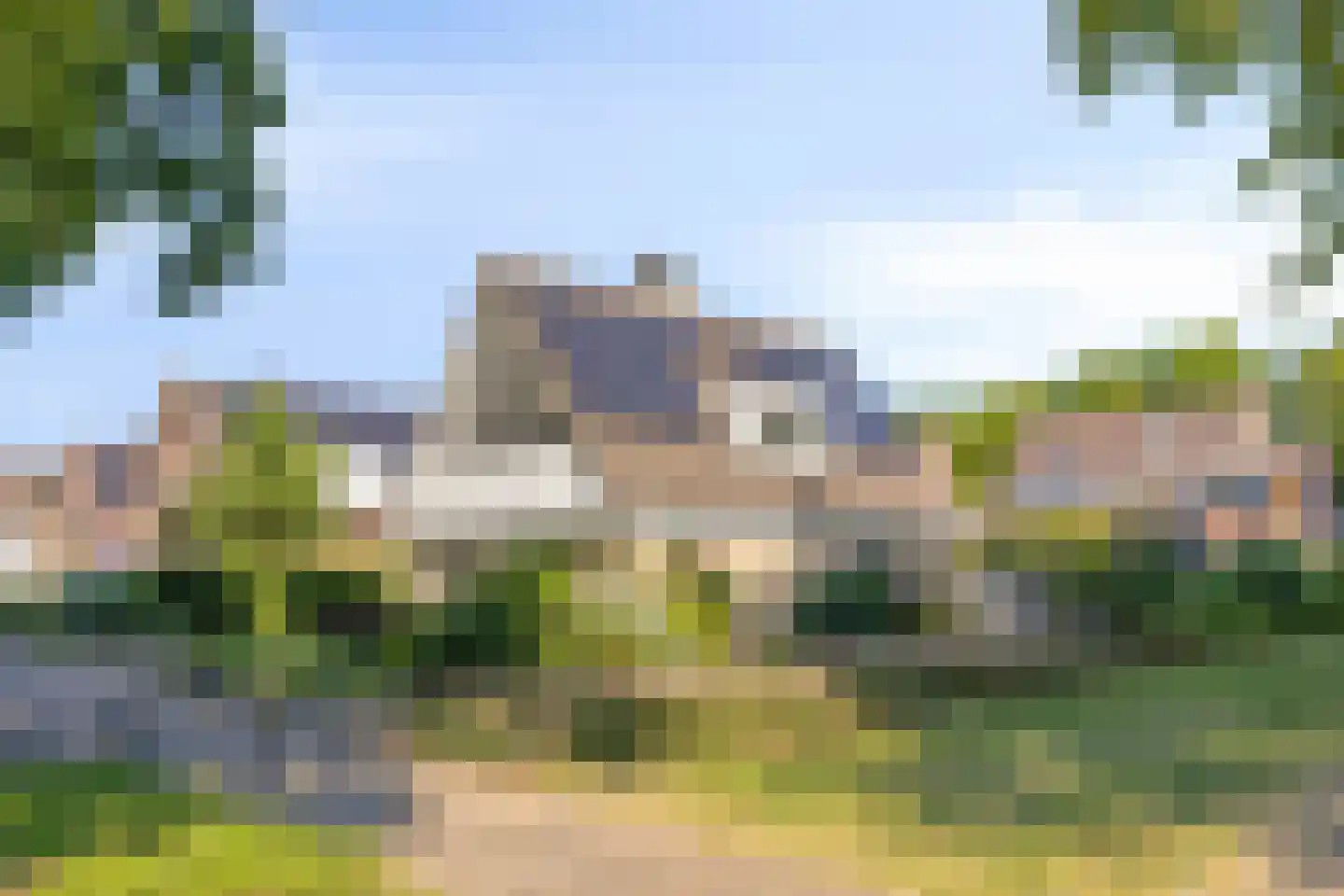 Lavendeltuin 9 Dongen thumbnail 8
