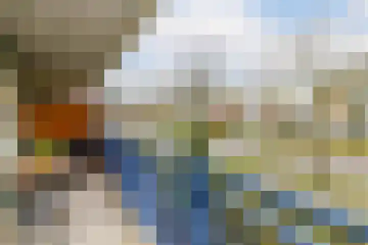 Lavendelveld 12 Schiedam thumbnail 20