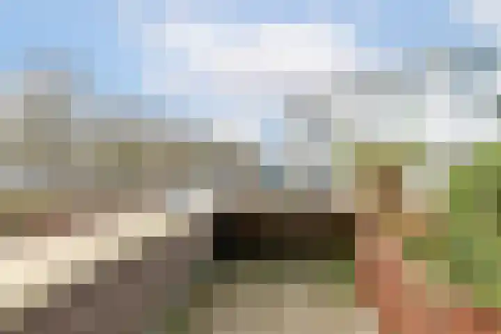 Lavendelveld 12 Schiedam thumbnail 25