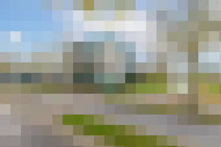 Lavendelveld 12 Schiedam thumbnail 39