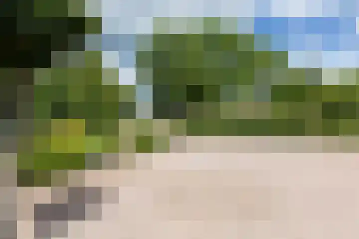 Lavendelveld 17 Doetinchem thumbnail 4