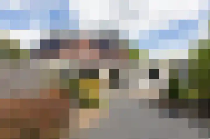 Lavendelveld 17 Doetinchem thumbnail 48