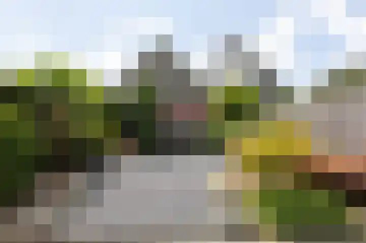 Lavendelveld 17 Doetinchem thumbnail 49
