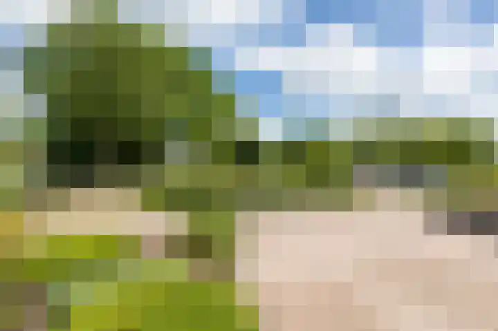 Lavendelveld 17 Doetinchem thumbnail 5