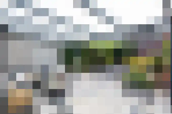Lavendelveld 17 Doetinchem thumbnail 51