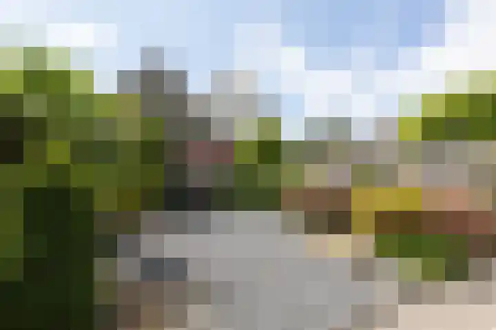 Lavendelveld 17 Doetinchem thumbnail 52