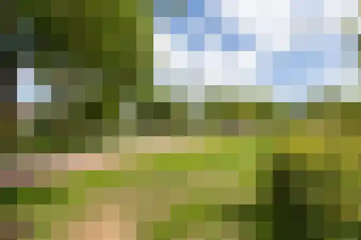 Lavendelveld 17 Doetinchem thumbnail 6