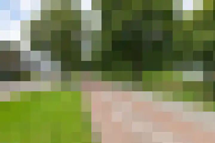 Lavendelveld 17 Doetinchem thumbnail 7