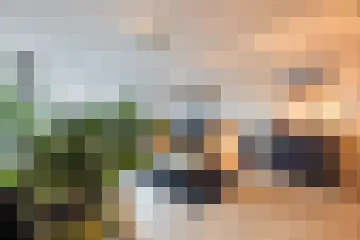 Lavendelveld 21 Schiedam thumbnail 17