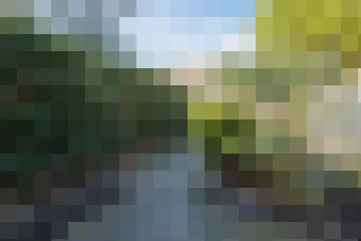 Lavendelveld 21 Schiedam thumbnail 33