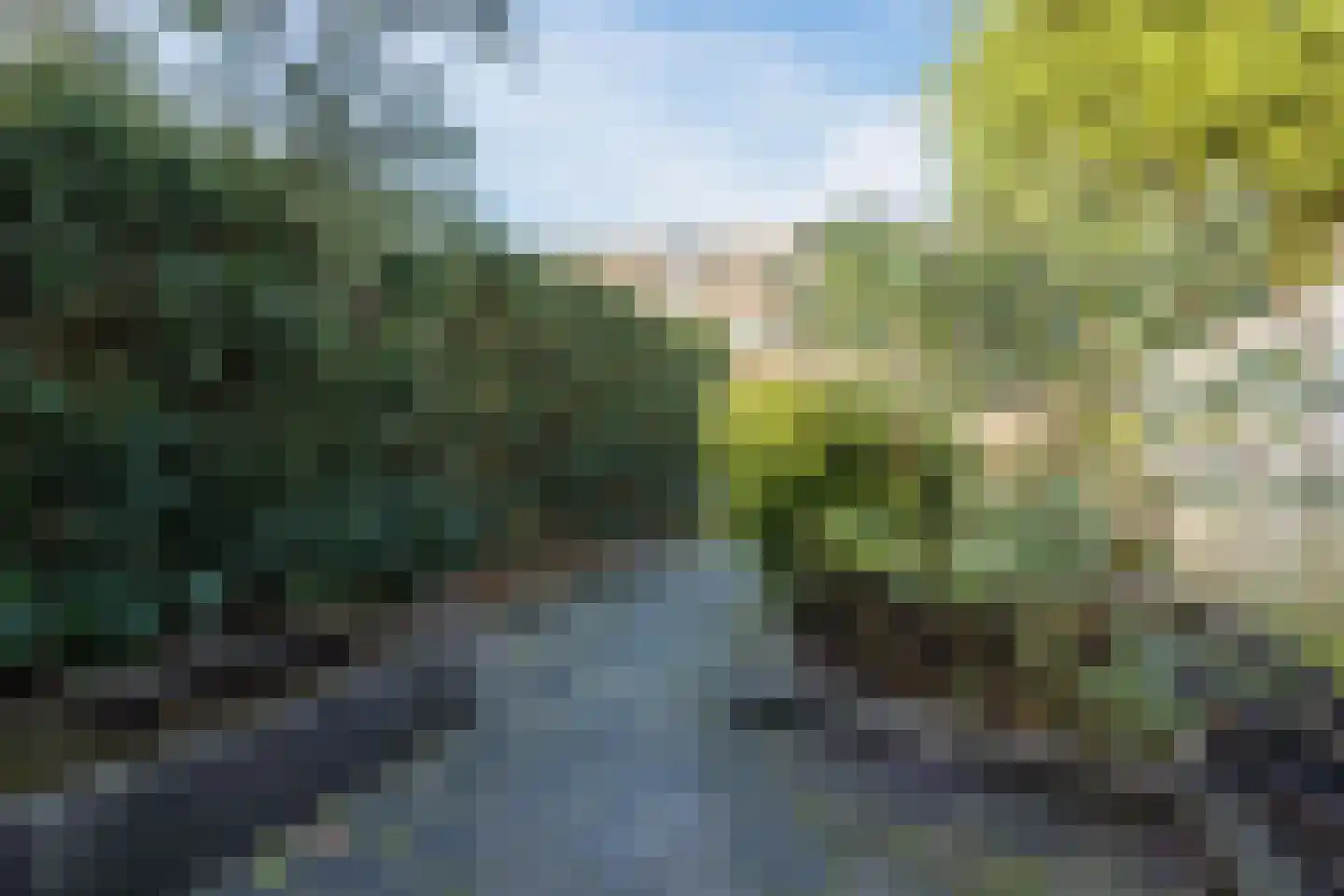Lavendelveld 21 Schiedam thumbnail 33