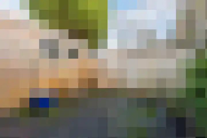 Lavendelveld 21 Schiedam thumbnail 36