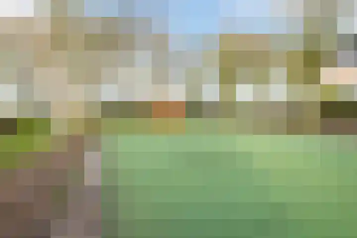 Lavendelveld 21 Schiedam thumbnail 40