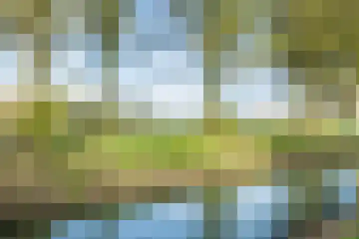Lavendelveld 21 Schiedam thumbnail 41
